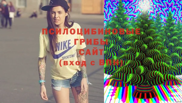 дурь Горнозаводск