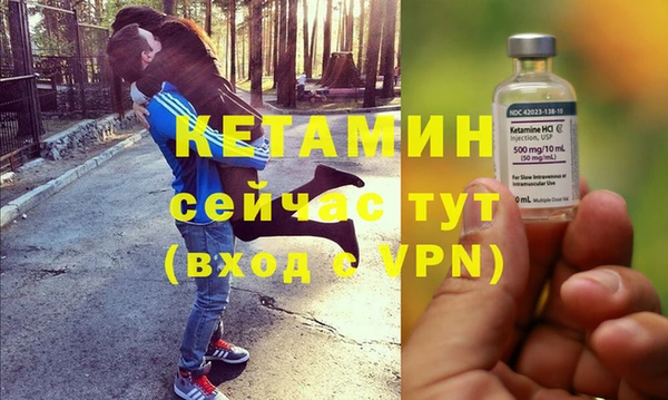 гидра Семилуки