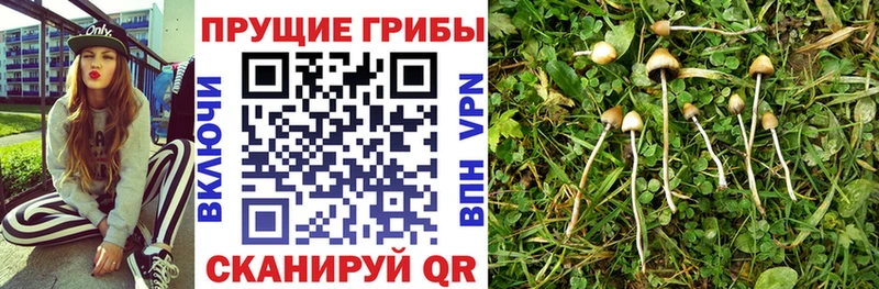 Галлюциногенные грибы прущие грибы  Меленки 